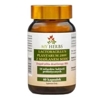 My Herbs Lactobacillus Plantarum 299V with Sodium Butyrate, capsules, 60 pcs.