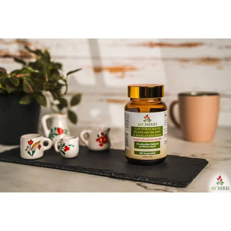 My Herbs Lactobacillus Plantarum 299V with Sodium Butyrate, capsules, 60 pcs.