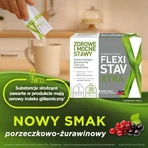 Juego de 2x FlexiStav Xtra, sobres de polvo, 30 uds.