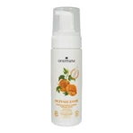 Orientana, feuchtigkeitsspendender Gesichtsreinigungsschaum Japanese Gourd, 150 ml