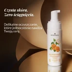 Orientana, feuchtigkeitsspendender Gesichtsreinigungsschaum Japanese Gourd, 150 ml