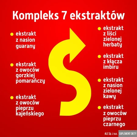ALE Fast Burner, Hartkapseln, 60 Stück.