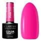 Claresa Sunny Garden, hybride lak, 532 Roze, 5 g