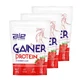 Lot de 3 x ALE Gainer Protéines Goût Fraise