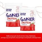 Lote de 3 x ALE Gainer Protein Sabor Fresa