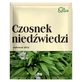 Flos Garlic Bear, herbs for brewing, 25 g