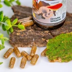 Wellbear Vital Mushrooms, capsules, 60 pcs.