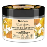 Vis Plantis, masker voor haar dat verzwakt is door stylingbehandelingen, pompoenpitten, tarwe en haver, 300 ml