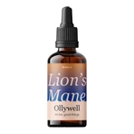 Set van 2 x Ollywell BIO Lion's Mane, druppels, 30 ml