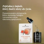 Orientana Ashwagandha, serum-ampul verjonging, 30 ml