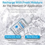 APLB Hyaluronsäure Ceramide HA B5 Ampulle, feuchtigkeitsspendendes Gesichtsserum mit Hyaluronsäure, Ceramiden und Vitamin B5, 40 ml