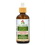 Bio Herbs Liposomal Vitamin B Complex, gouttes, 100 ml
