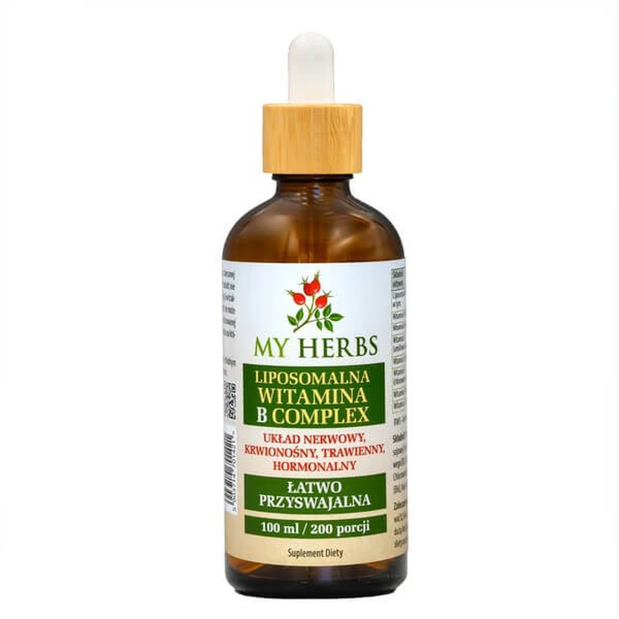 Bio Herbs Liposomal Vitamin B Complex, gouttes, 100 ml