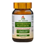My Herbs Lactobacillus Plantarum, capsules, 60 st.