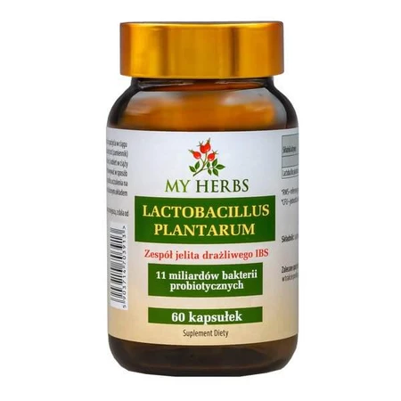 My Herbs Lactobacillus Plantarum, capsules, 60 st.