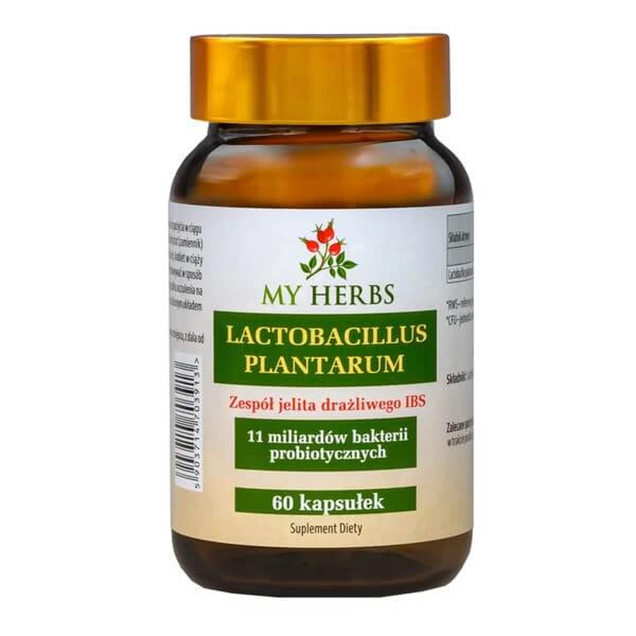 My Herbs Lactobacillus Plantarum, capsules, 60 st.