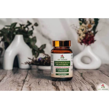 My Herbs Lactobacillus Plantarum, capsules, 60 st.