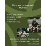 Himalayan Mumio, hard capsules, 90 pcs.