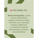 Himalayan Mumio, hard capsules, 90 pcs.