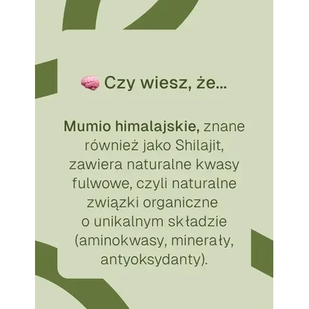 Himalayan Mumio, hard capsules, 90 pcs.