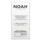 Noah, tratamiento capilar para cuero cabelludo sensible con tendencia a la caspa con liquen de Islandia y hamamelis, 8 x 5 ml