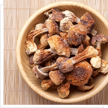 MYQO Agaricus - Champignon amandier, gélules, 90 pcs.