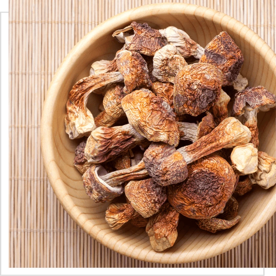MYQO Agaricus - Champignon amandier, gélules, 90 pcs.