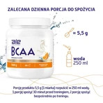 ALE BCAA Orangengeschmack, Pulver, 500 g