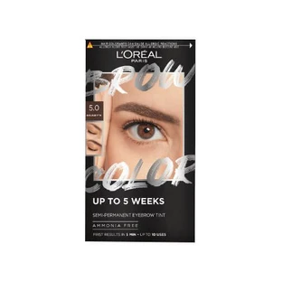 L OREAL WENKBRAUW TINT 5.0 BRUNETTE