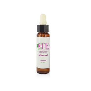 Mosterd Cfe voorraadfles 10ml