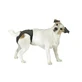 LEOPET LUXUS PANTY 71/78