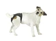 LEOPET LUXUS PANTY 71/78