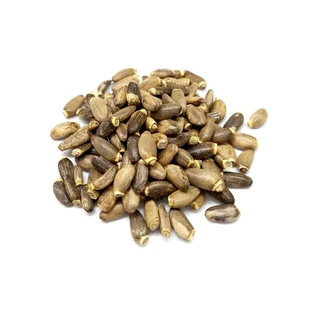 Mariendistel in 100 g Frucht