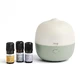 Purae Green Abies Geurverspreider Kit