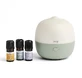 Purae Green Abies Geurverspreider Kit