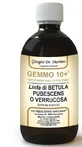 Bouleau blanc Linfa Gemm 10+ Liquide sans alcool 500ml Giorgini