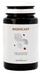 Rigencast 30cps