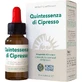 Quintessence Cypress 10ml