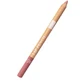 ASTRA PURE BEAUTY LIP PENCIL 0005