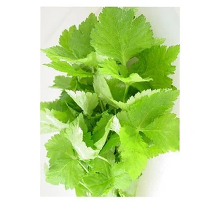 Perilla Feuilles Coupées Tisane 100 Gr