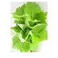 Perilla Leaves Cut Herbal Tea 100 Gr