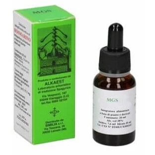 Mgs23 Hornbeam Glyceric Macerate Spg 20 Ml