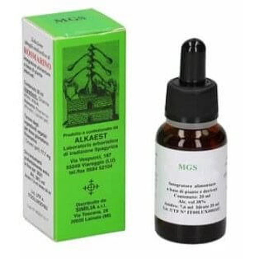 Mgs23 Hornbeam Glyceric Macerate Spg 20 Ml