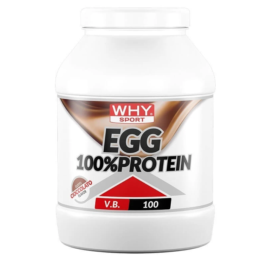 WHYSPORT EI 100% EIWEISS CIOC