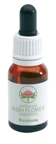 BAUHINIA AUSTRALIJSKA 15ML