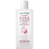 ROSE HYALURONSÄURE MILCH DET 228G