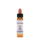 Wild Rose Essence 10 Ml 1 Piece