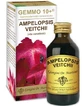 Canadian Grapevine 100ml Liquide non alcoolisé Gemmo 10+ Giorgini