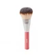 Goovi Powder Brush