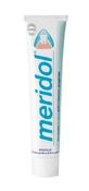 Meridol Toothpaste 100ml